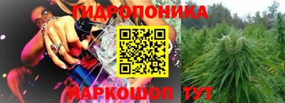 PSILOCYBIN Владивосток