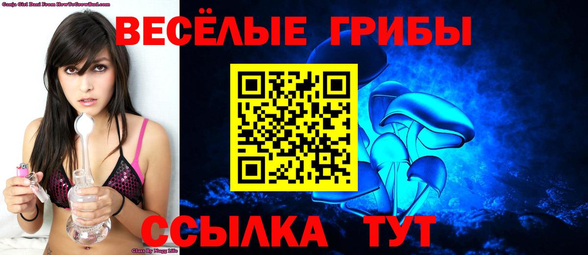 Старая Купавна  Галлюциногенные грибы GOLDEN TEACHER  Вход с VPN 
